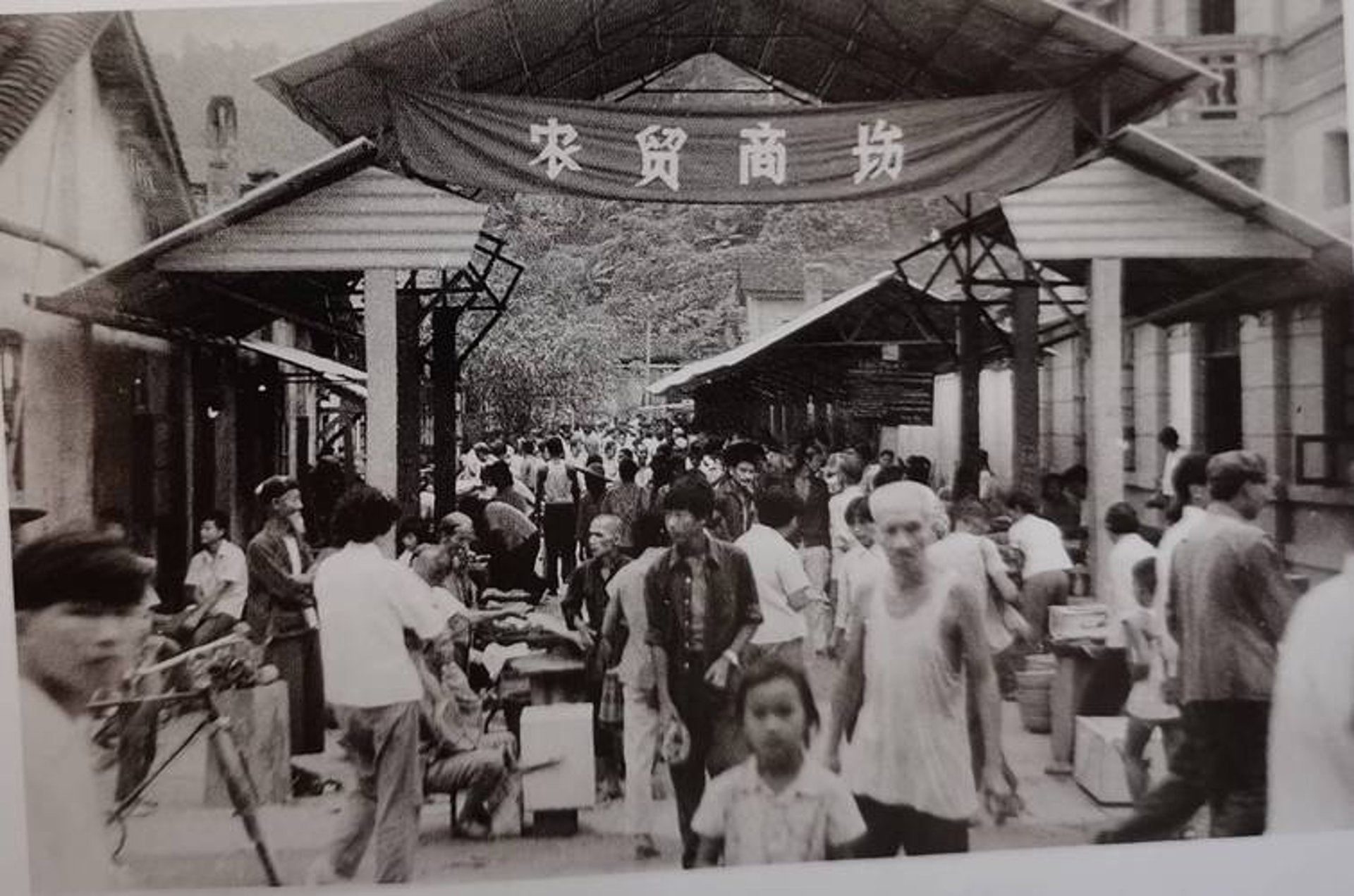 炉尔柳百货